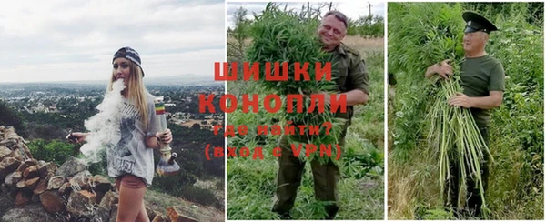 шишки Баксан
