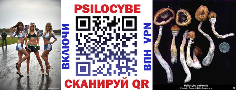 где найти наркотики  Пересвет  mega ССЫЛКА  Псилоцибиновые грибы прущие грибы 